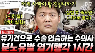 [#프리한19] (1시간) 분노 주의⚠ 정말 사람이 한 짓이라고?? 인간의 탈을 쓴 악마가 저지른 실화👿