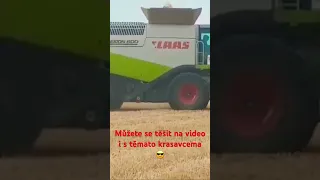 Claas Lexion 600 #lukáš ( 3 kombajny v nasazení