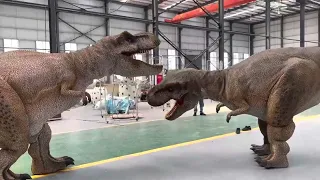 www.amodinosaur.com - ¡Dios mío! ¡Dos grandes T-Rex están peleándose!