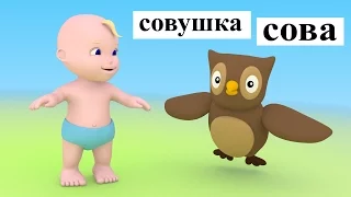 Учимся с Масиком: Потешка совушка сова. Мультик для самых маленьких малышей, потешки игры для детей.