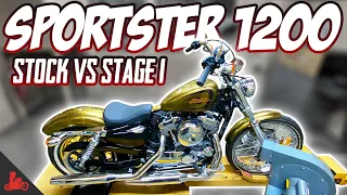 How Fast Is a Harley Sportster 1200? (Stock vs Stage 1)