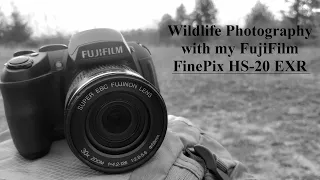 Wildlife Photography with my FujiFilm FinePix HS20 EXR