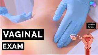 Vaginal Examination (PV) | Bimanual | OSCE Guide | UKMLA | CPSA