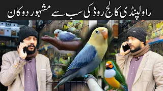 College Road Birds Market Rawalpindi | Love Birds,Talking Parrot,Australian Budgies& Parrots chicks