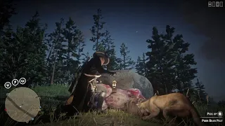 Red Dead Redemption 2 online rdr2 fame seeker killed by bear killed by me and then this happens