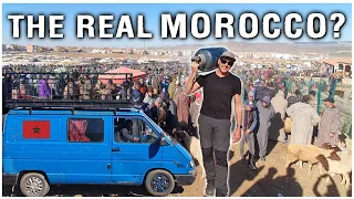 The MIDDLE ATLAS: Morocco's Largest Souk & Monkey Encounters