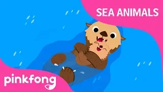 Sea, sea, Sea Otter | Sea Animals Songs | Animal Songs | Pinkfong Songs for Children