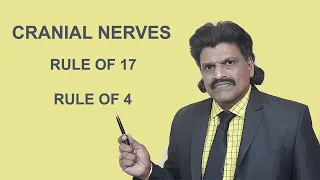 CRANIAL NERVES ,RULE OF 17 & 4