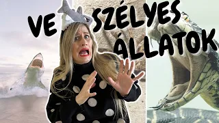 Ausztrália Veszélyes Állatai 🐍 Tényleg Félni Kell?