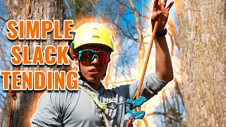 SRT/SRS Tree Climbing Basics: Slack Tending!