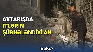 Tələbələrimizin tapılması üçün itlər cəlb olundu - BAKU TV