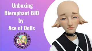 Unboxing Hierophant BJD by Ace of Dolls