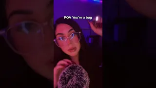 Pov You're a bug #shorts