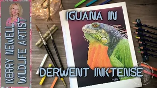 IGUANA IN DERWENT INKTENSE