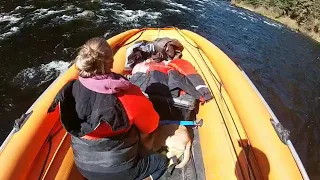 Exciting Inflatable Jet Boat run!