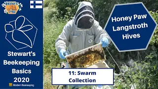 Honey Paw Series: 11 - Swarm Collection Update - Stewart Spinks at the Norfolk Honey Co.