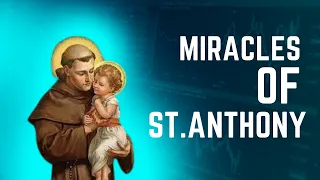 Miracles Of St.Anthony - A Short film