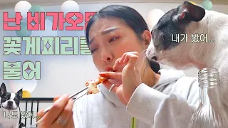 🤯연말에 제대로 살크업🐷하는 먹방 음주 브이로그|삼계탕,핫도그,칼국수,돈까스,와인,양념게장,굴보쌈,엽떡밀키트,김치우동