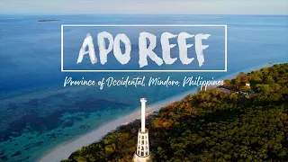 APO REEF - Sablayan, Occidental Mindoro | Mackoy Vlogs (Full Video in 4K)