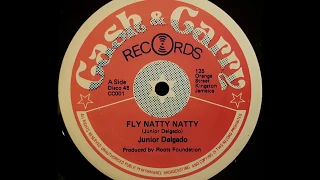 JUNIOR DELGADO - Fly Natty Natty