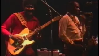 Albert Collins and The Icebreakers - Ice Pick - Live 1980 Nr3