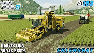 Sheep cheese production, sugar beet harvest | Erlengrat Farm | Farming simulator 22 | Timelapse #103