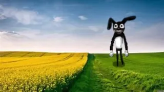 Cartoon Rabbit Theme