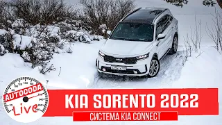 Тест системы Kia Connect в новом Sorento 2022