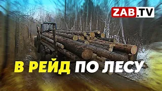 Вырубка лесов за Угданом. Прогулка с прокуратурой