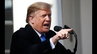 Watch again: Donald Trump declares national emergency