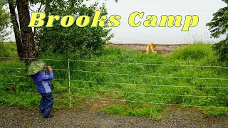 Brooks Camp Campground Tour Katmai National Park Alaska (We camped with BEARS!)