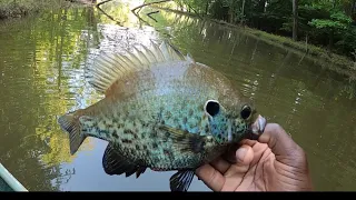 Easy Way Too Catch Big Redear SunFish Back To Back Action