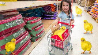 Walmart Shopping With a TINY PINK Shopping Cart WITH OUR BABY CHICKS!!