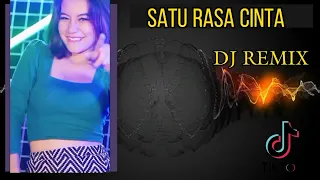 SATU RASA CINTA  DJ REMIX VIRAL TERBARU 2023 TIKTOK!!