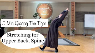 5 Min Stretching Upper Back, Spine | Qigong The Tiger