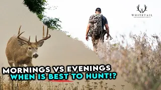 Mornings vs. Evenings! When is the BEST time to HUNT!?