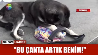 "Bu çanta artık benim!"