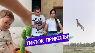 ТИК ТОК ПРИКОЛЫ / ЛУЧШИЕ СМЕШНЫЕ ВИДЕО TIK TOK 11.07.2021