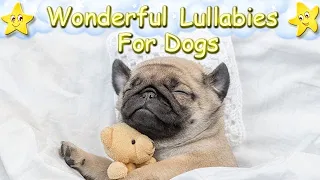 Relaxing Sleep Music For Dogs And Puppies ♫ Calm And Relax Your Pug Dog