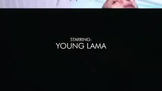 young lama .freestyle