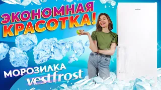 Заморозка может быть простой ❄️Обзор морозильной камеры Vestfrost VD 865 FNW