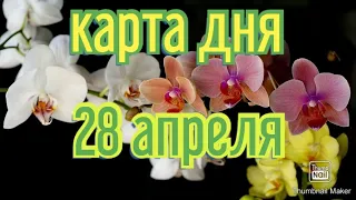 КАРТА ДНЯ. ТАРО ПРОГНОЗ НА 28 АПРЕЛЯ, СРЕДА ДЛЯ ВСЕХ ЗНАКОВ ЗОДИАКА♈ ♊♉♓♒♑♐♏♎♍♌♋