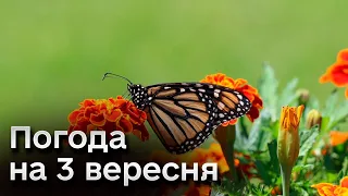 🌞🍁 Погода на 3 вересня: Перше бабине літо!