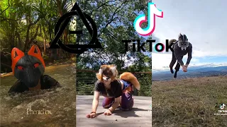 Therian and Quadrobics TikToks || Compilation 🐾🪱🪲|| Alterhumans of TikTok #70