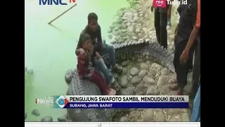 Sensasi Menegangkan dan Seru Pengunjung Berswafoto Bersama Buaya, Berani? - LIS 26/06