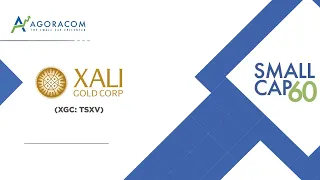 SmallCap 60: Xali Gold ( XGC:TSXV ) El Oro Flagship Epithermal Gold Project Status