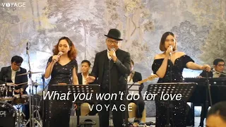 What You Won't Do For Love - Voyage Music