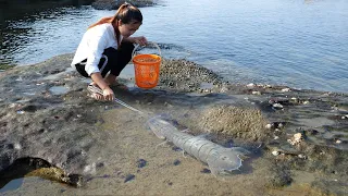 Alien Shrimp Catch and Cook at the Beach - Alien Shrimp  Cooking on Sand