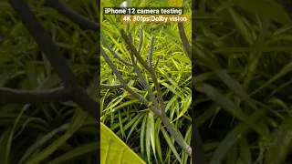 iPhone 12 Camera Testing | 4k 30fps | Dolby vision | Audio Quality
