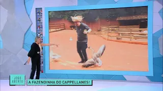 Cappellanes é atacado por pato ao vivo, e Renata Fan se diverte